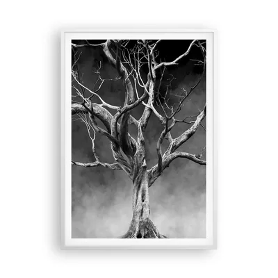 Produktbild von Gerahmtes Poster - Weißer Rahmen - Schwarzweiß Äste Rauch - 70x100 cm - Wand Bild - Wanddeko - Wandbilder - Kunstposter - Wandposter - Bilderrahmen - Bilder - Kunstdruck - Wandbild - P2WPA70x100-4346