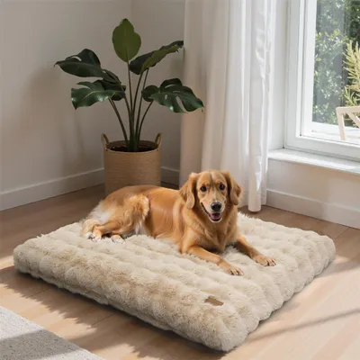 A golden retriever dog is lying on a plush beige dog bed in a well-lit room with a large window and a potted plant.
