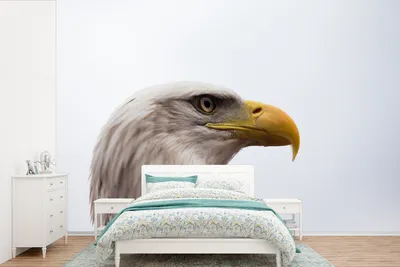 Produktbild von MuchoWow® Fototapete für Wohnzimmer oder Schlafzimmer Wandtapete Vinyl Motivtapete Adler - Adler - Porträt - Vogel - Raubvogel - Schnabel - 525x350 cm - Das Hintergrundbild