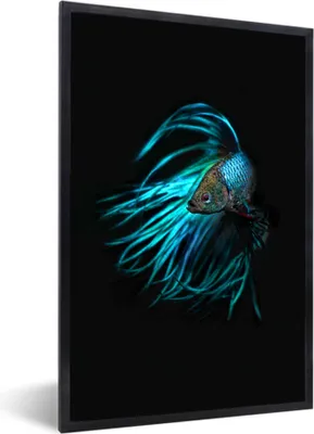 Produktbild von MuchoWow® MuchoWow® Gerahmtes Poster Fisch - Schwanz - Schwarz 40x60 cm - Poster mit zchwarzem Bilderrahmen - Papierdruck - Wandbilder
