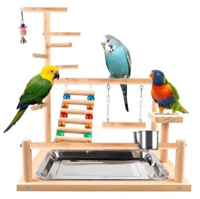 Produktbild von Vogelspielplatz mit Leiter, Schaukel und Tablett 37x26x44cm für Sittiche und Papageien