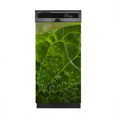 Produktbild von Magnete Dekorative 45x80 cm Küche Magnetmatte Spülmaschine - Farbige Früchte