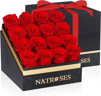 Produktbild von Kunstblume NATROSES Konservierte Rosen echte Rosen, 3 Jahre haltbarkeit Rose, JUNG, Valentinstag Geschenk Frau, Valentintstagsgeschenk Frauen Rosen