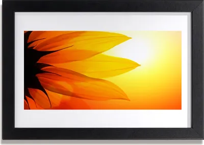 Produktbild von Bild 30x20 MDF-Rahmen Wandkunst Natur Blume Pflanze
