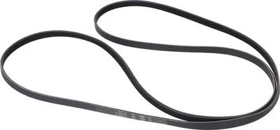 A black serpentine belt is laid out on a white background.
