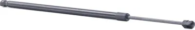 Produktbild von RIDEX 219G0980 Gasfeder Heckklappendämpfer für RENAULT Espace V (JR) 641,5mm