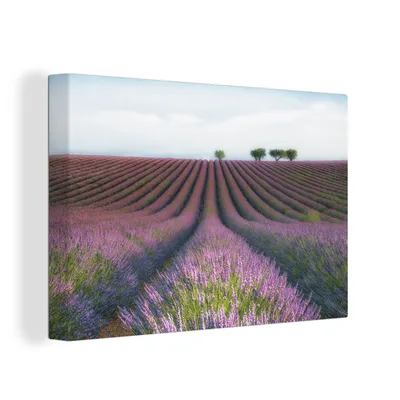 Obrázek produktu pro OneMillionCanvasses® Malba na plátně Nástěnná malba na plátně - Levandule - Květiny - Příroda - 150x100cm