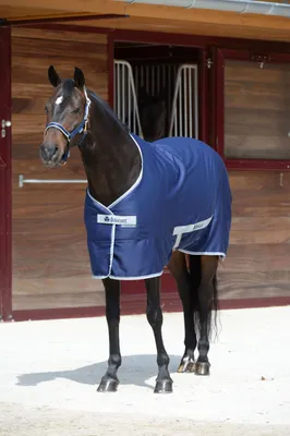 Produktbild von Bucas Stalldecke 0g Freedom Twill Sheet Transportdecke Navy 155