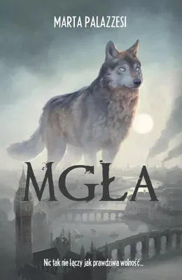 Zdjęcie produktu dla Mgła