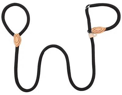 Productafbeelding van Retrieverlijn met geïntegreerde halsband voor honden, 150 cm, zwart