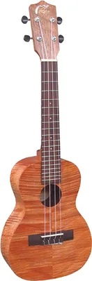 Produktbild von Leho MLUS-XM-TS mit Gig Bag