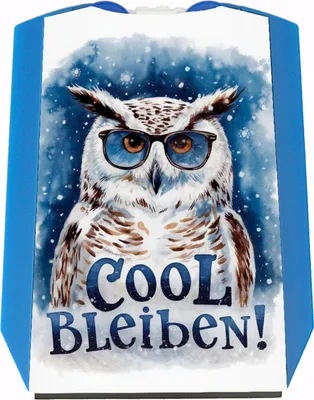 Produktbild von Cool bleiben Parkscheibe Schneeeule mit Sonnenbrille