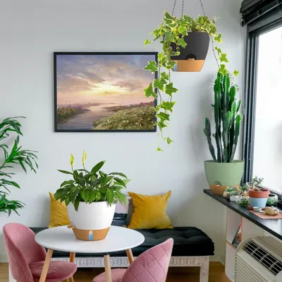 Image de Pots à plantes suspendus - 30 cm Pots à plantes auto-irrigués avec trous de drainage - Pour plantes d'intérieur et d'extérieur (Gris foncé)