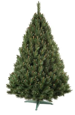 Immagine prodotto di Albero di Natale artificiale di pino con supporto 220 cm