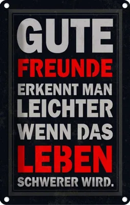 Produktbild von vianmo Blechschild 18x12 cm gute Freunde erkennt man Familie