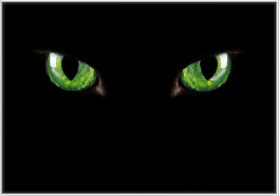 Produktbild von Wallario Wandbild Grüne Katzenaugen bei Nacht, Größe: 70,30 x 100,30 cm, Poster mit weißem Kunststoffrahmen