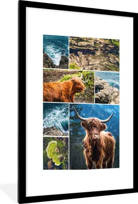 Produktbild von MuchoWow® Gerahmtes Poster Schottischer Highlander - Collage - Tiere 60x90 cm - Poster mit Schwarzem Bilderrahmen Wandposter Rahmen Foto Bilder - Dekoration - Wandposter Wohnzimmer - Hochwertig