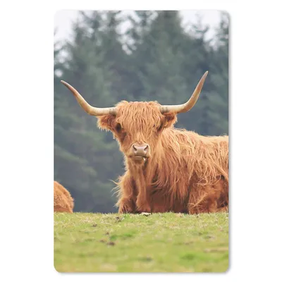 Produktbild von MuchoWow® Mauspad Mousepad Schottische Highlander - Gras - Wald 18x27 cm - Mousepads - Maus Mat - Pad - Mausunterlage