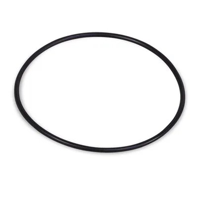 A black O-ring on a white background.