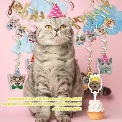 Kat Thema Geburtstagsdekorationen mit Banner und Karten