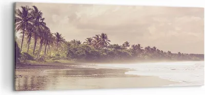 Produktbild von Bild auf Leinwand - Leinwandbild - Einteilig - Palmen Strand Wasser - 120x50cm - Wand Bild - Wanddeko - Wandbilder - Leinwanddruck - Bilder - Wanddekoration - Leinwand bilder - AB120x50-4917