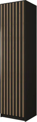 Produktbild von Schrank Xano 50 Schwarz + Votan