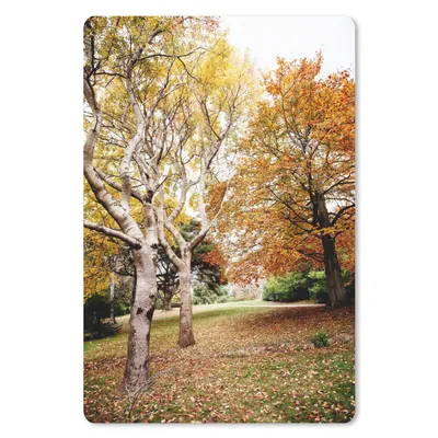 Produktbild von MuchoWow® Mauspad Mousepad Herbst - Bäume - Laub - Natur 18x27 cm - Mousepads - Maus Mat - Pad - Mausunterlage