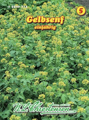 Artikelbild 1 von 'Gelbsenf' aus der Kategorie Gründünger & -düngung