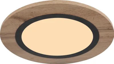 Image de Globo Lighting Plafonnier métal noir mat, LED