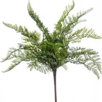 Produktbild von Langlebige und farbechte Kunstblume, naturgetreu wie eine echte Pflanze, grün, 40 cm