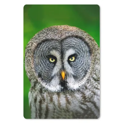 Produktbild von MuchoWow® Mauspad Mousepad Vogel - Eule - Tiere - Braun - Porträt 40x60 cm - Mousepads - Maus Mat - Pad - Mausunterlage - Schreibtisch Accesoire