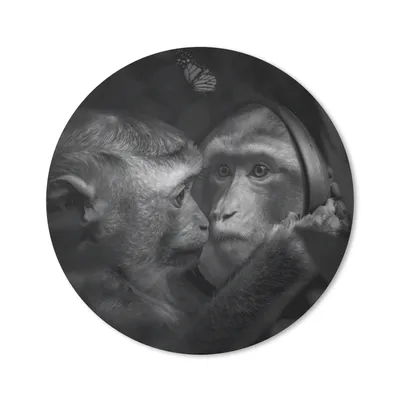 Produktbild von MuchoWow® Mauspad Mousepad Schmetterling - Affe - Tiere - Dschungel - Schwarz - Weiß 30x30 cm - Mousepads - Maus Mat - Pad - Mausunterlage - Tischunterlage - Schreibtischmatten