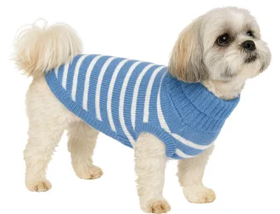Produktbild von Nobby Hundepullover Pasma Rückenlänge 20 cm, blau