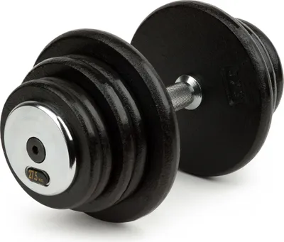 Produktbild von Sport-Thieme Kompakthantel "Stahl", 27,5 kg