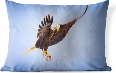 Produktbild von MuchoWow® Outdoor Kissen - Ein Weißkopfseeadler am blauen Himmel - 50x30 cm - Wetterfest - Lounge Kissen - Sofa kissen - Wohnzimmer Dekoration