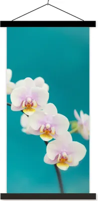Produktbild von MuchoWow® Textilposter Orchidee - Blumen - Pflanze - Weiß - Lila 90x180 cm mit schwarzem Rahmen - Dekoration Wohnzimmer