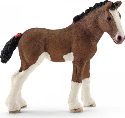 Produktbild von Clydesdale Fohlen