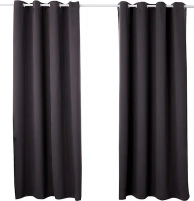 Produktbild von WOLTU Vorhang Blickdicht mit Ösen Thermovorhang Kälteschutz 2er Set Verdunklungsvorhänge Wärmeisolierend Gardinen, 250g/m² Dicke Thermogardine Anthrazit,135x225 cm