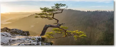 Produktbild von Tulup® Leinwandbild - 125x50 cm - Wandkunst - Drucke auf Leinwand - Leinwanddruck  - Landschaften - Grün - Pieninen Berge