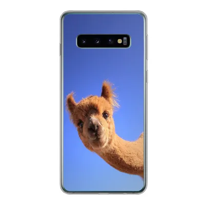 Produktbild von MuchoWow® Handyhülle Schutzhülle Hülle für Samsung Galaxy S10 Alpaka - Braun - Blau Silikon Softcase Handy Hülle - Handytasche