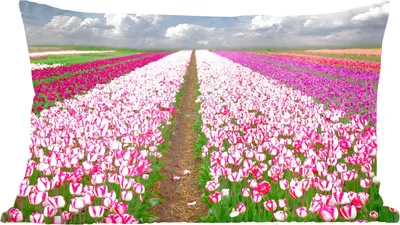 Produktbild von MuchoWow® Zierkissen Sofakissen Wohnzimmer Dekokissen 60x40 cm Tulpen - Sonne - Frühling - Kopfkissen - Polster mit Foto