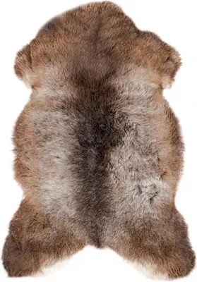 Produktbild von Schaffell natur braun 90-110cm