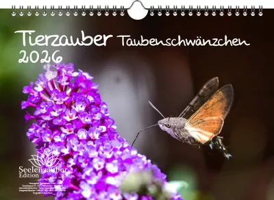 Produktbild von Tierzauber Taubenschwänzchen DIN A4 Kalender für 2026 - Seelenzauber