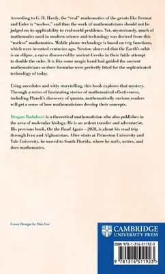 Produktbild von Why Does Math Work ... If It's Not Real?