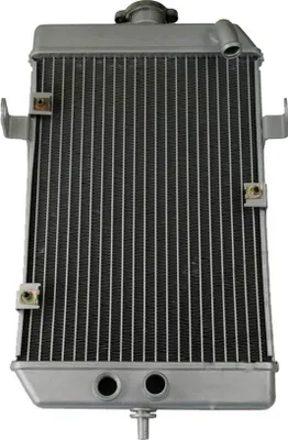 Zdjęcie produktu dla Chłodnica Wody - Yamaha Yfm 660 01-05