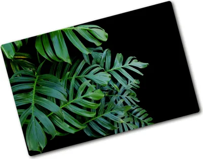 Produktbild von Tulup Glas Herdabdeckplatte - 80x52 cm - Glaskeramikkochfeld-Abdeckung Spritzschutz Glasabdeckplatte - Einteilig - Blumen & Pflanzen - Monstera - Grün
