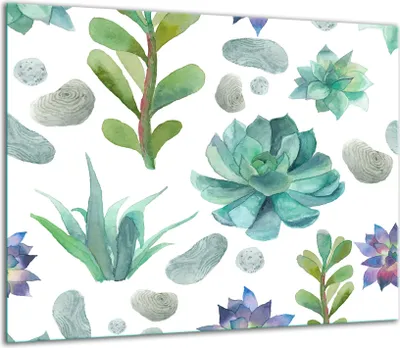 Produktbild von Herdabdeckplatten Glaskeramikkochfeld-Abdeckung Spritzschutz Glas 60x52cm Kaktus