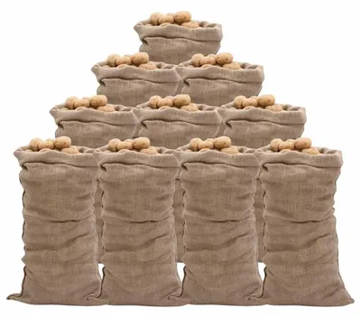 Obrázek produktu pro Jutové pytle 10 ks 65x135 cm 100% juta 220 g/m²