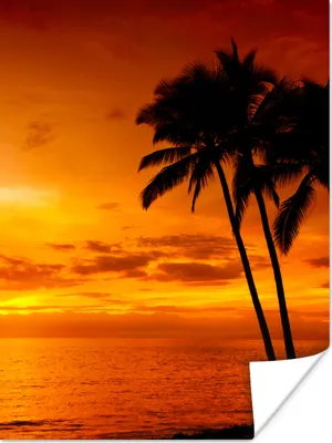 Produktbild von MuchoWow® Poster Palme - Sonnenuntergang - Tropisch - Orange - Meer 120x160 cm - Wandbilder