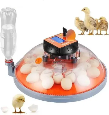 Obrázok produktu pre Inkubátory – Inkubátor na vajcia – 12 vajec – S reguláciou vlhkosti